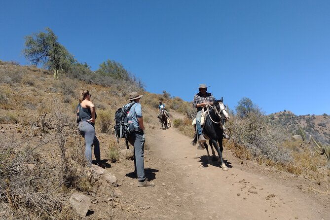 viewpoint-of-condors-cajon-del-maipo