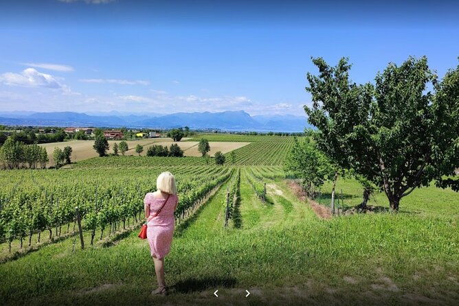 vineyard-tour-and-tasting-of-lugana-wines