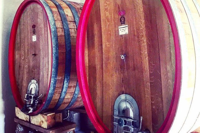 vineyard-visit-in-gyropode-visit-of-cave-tasting-wines-of-bandol