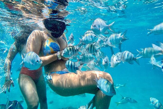vip-fascinating-boat-ride-snorkeling-at-sosua-bay