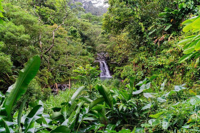 vip-private-full-day-road-to-hana-tour-from-lahaina-kapalua
