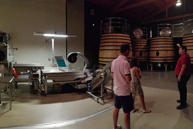 visit-a-winery-in-rioja