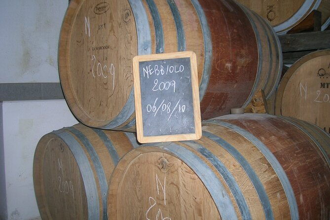 visit-and-tasting-of-3-d-o-c-wines-fontechiara