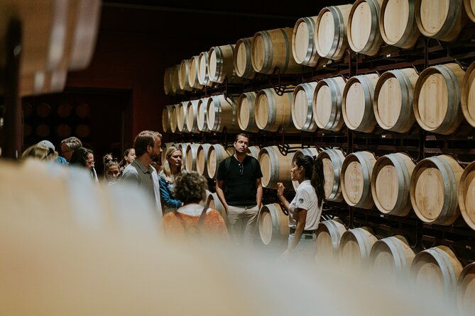 visit-the-hidden-jewel-of-the-ribera-del-duero-winery