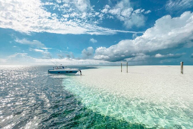 visit-the-ocean-swings-full-day-harbour-island-private-boat-tour