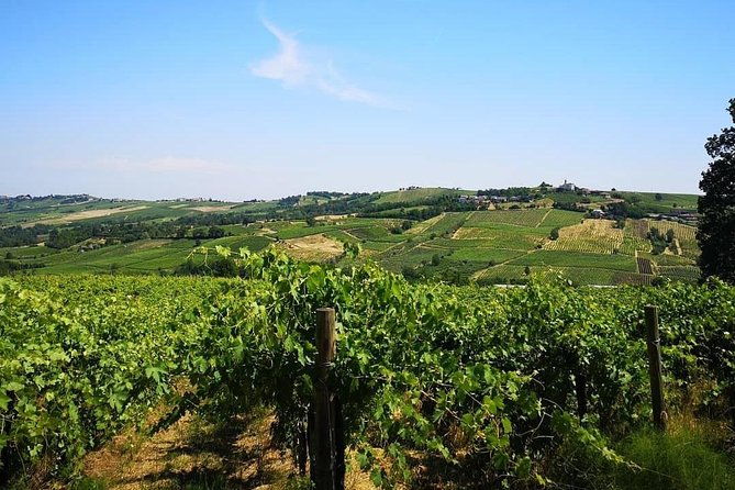 visit-wine-tasting-and-lunch