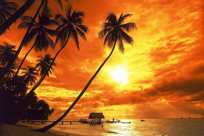 vista-sol-punta-round-trip-shuttle-punta-cana-airport