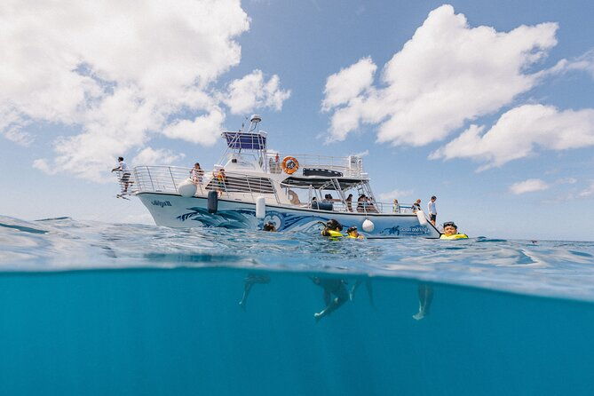 waikiki-turtle-canyon-snorkeling-with-lunch-and-hula-show