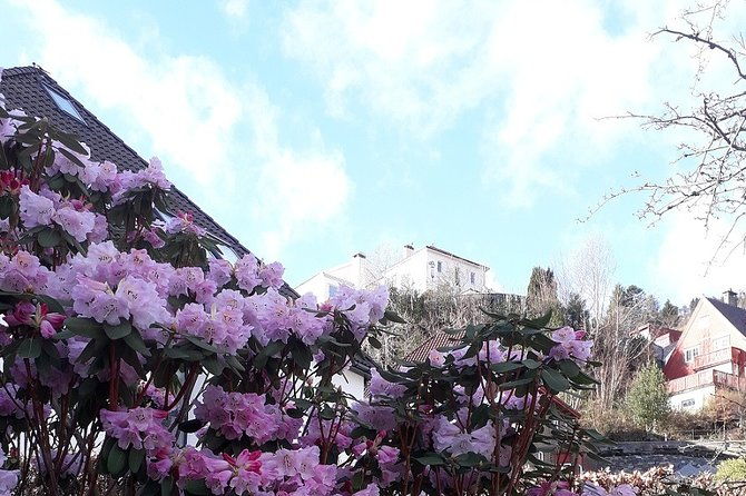 walking-tour-medieval-spirit-of-bergen