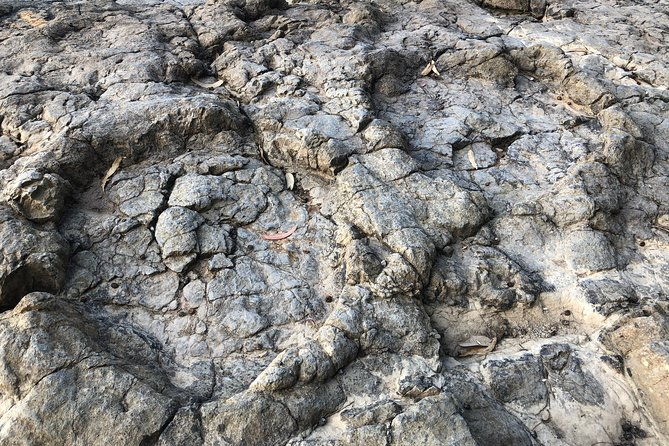 walking-with-dinosaurs-along-asturias-coast