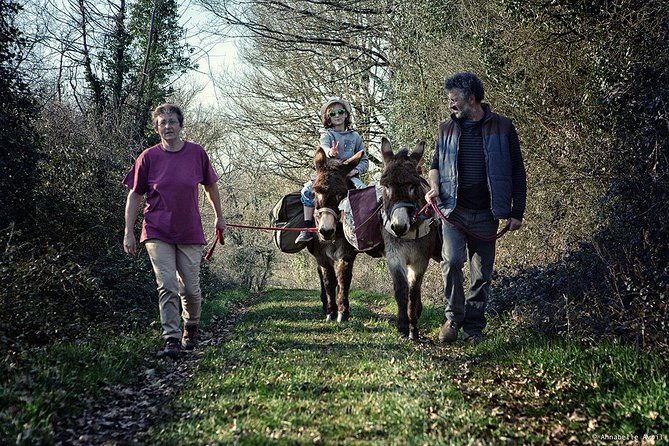 walks-and-hikes-with-donkeys