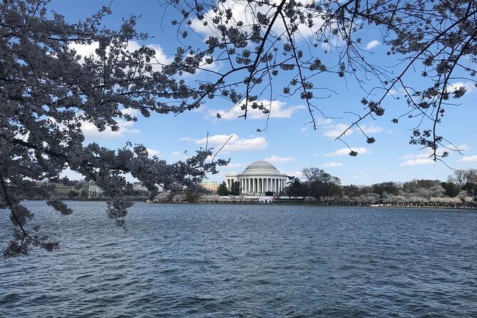 washington-d-c-cherry-blossom-1-day-tour-from-new-york