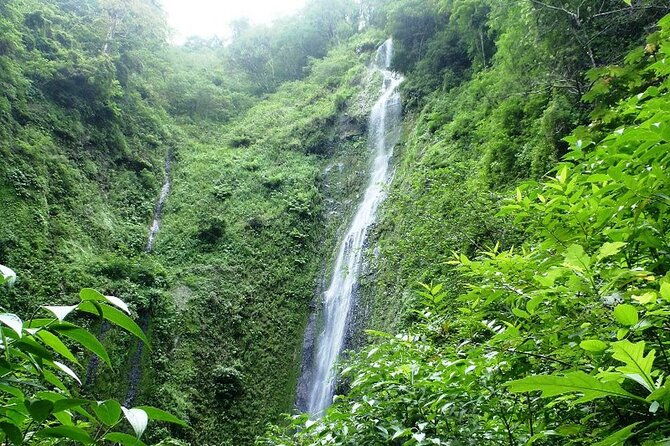 waterfall-sloth-expedition-frogs-blue-river-also-in-costa-rica-and-nicaragua