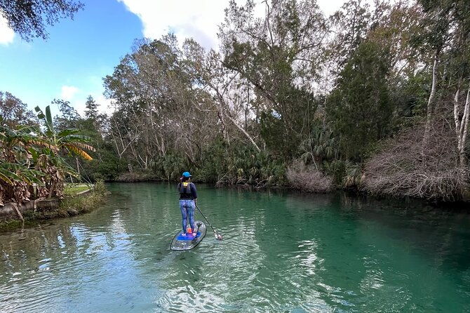 weeki-wachee-clear-paddle-board-ecotours