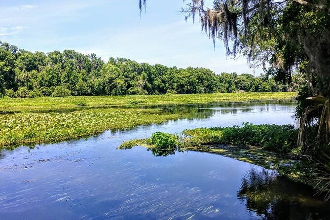 wekiva-wildlife-kayaking-adventure-tour