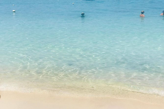 west-bay-beach-break-monkey-and-sloth-sanctuary