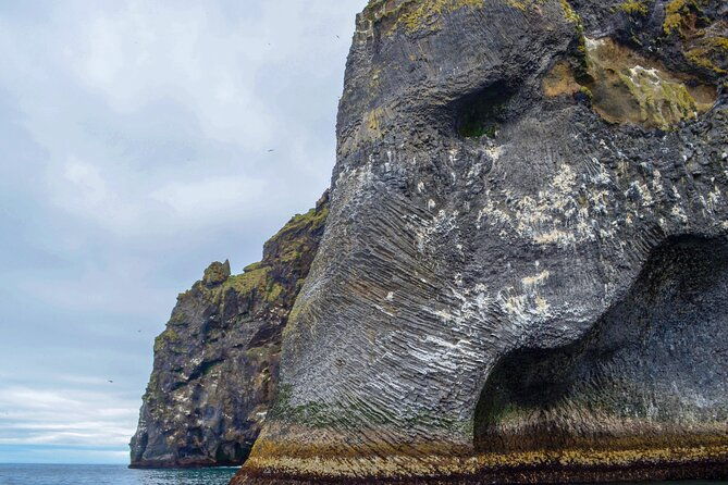 westman-islands-volcanoes-and-puffins-small-group-tour