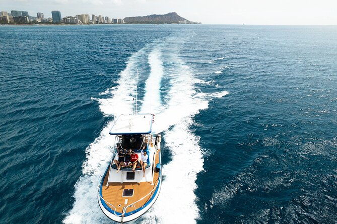 whale-and-dolphin-watch-boat-cruise-in-oahu