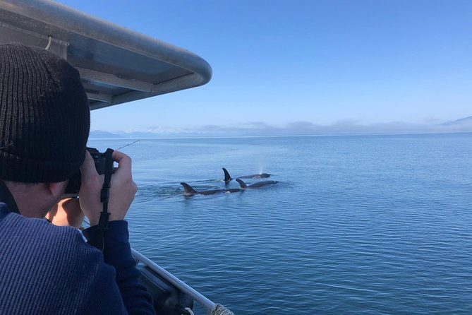 whale-watching-charters-and-bear-search-through-icy-strat-alaska