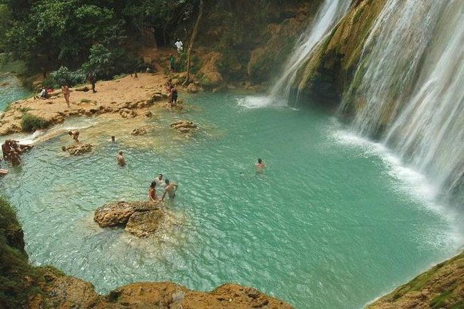 whales-samana-bacardi-island-horse-limon-waterfall