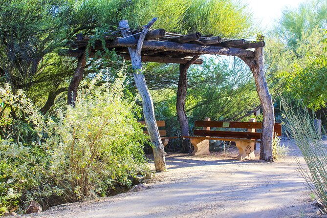 when-nature-calls-exploring-the-sonoran-desert-2
