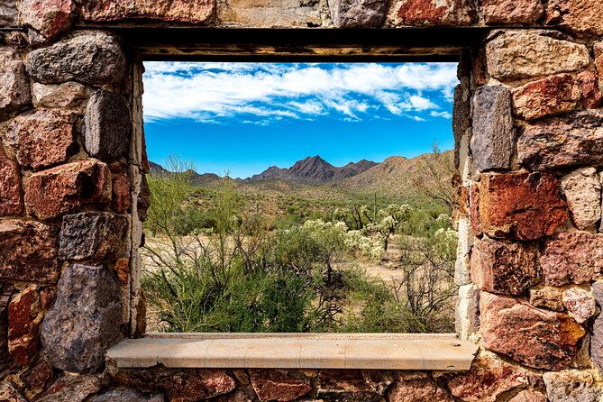 when-nature-calls-exploring-the-sonoran-desert