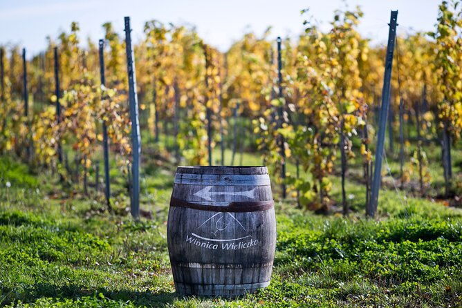 wieliczka-vineyard-wine-tasting-with-local-snacks