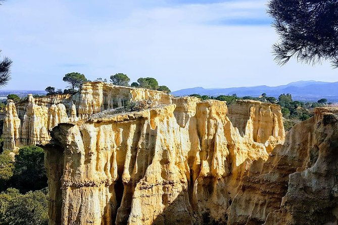 wild-organs-grand-landscape-plants-geology-birdsongs-3
