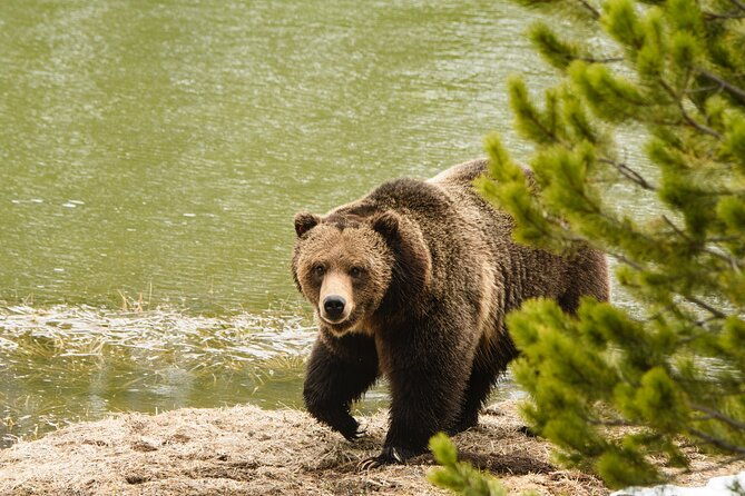 wildlife-and-waterfalls-2