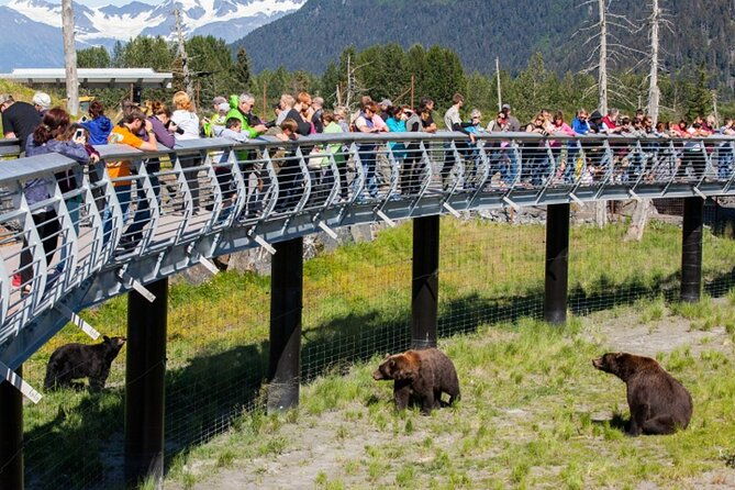 wildlife-conservation-center-and-portage-glacier-lake-viewing