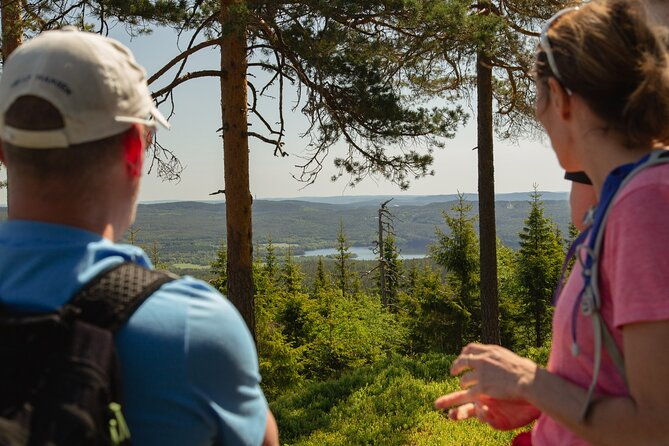 wildlife-forest-hike