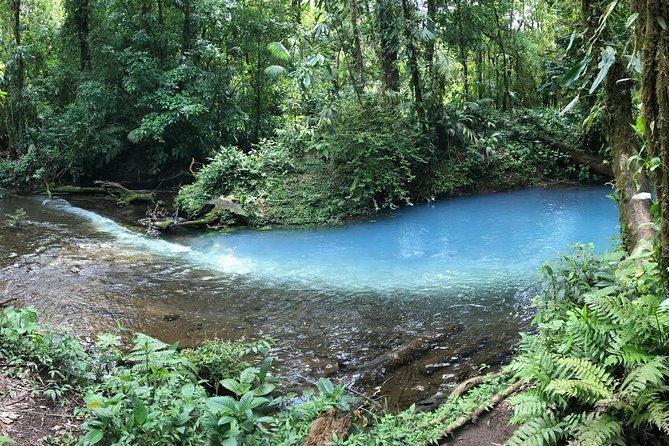 wildlife-nature-hike-blue-waterfall-lunch-sloth-trail-tenorio-volcano-park