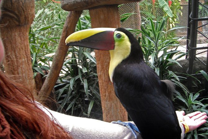 wildlife-refuge-la-paz-waterfall-gardens-day-trip-from-san-jose