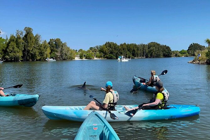 wildlife-refuge-sunset-dolphin-manatee-mangrove-kayak-or-paddleboarding-tour-2