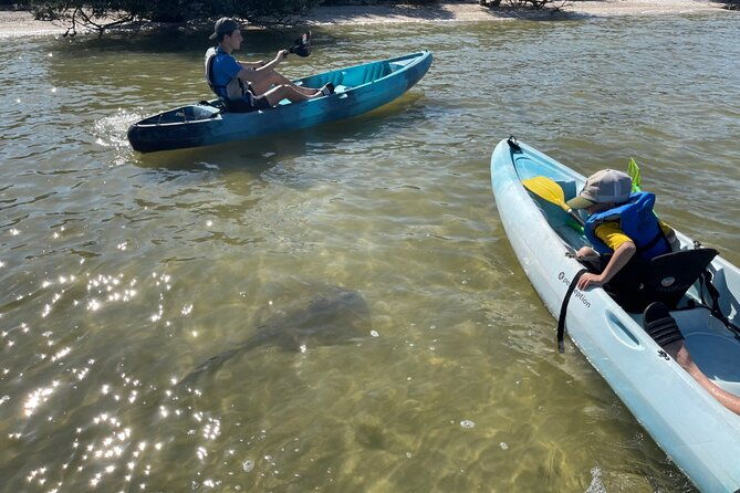 wildlife-refuge-sunset-dolphin-manatee-mangrove-kayak-or-paddleboarding-tour