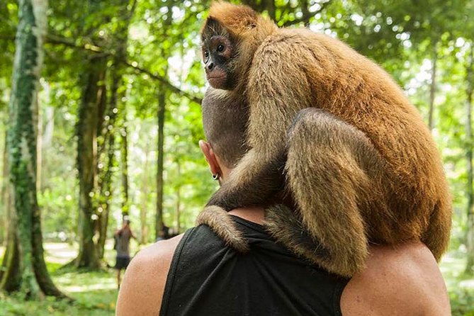 wildlife-rescue-center-and-punta-uva-beach-jungle-hike