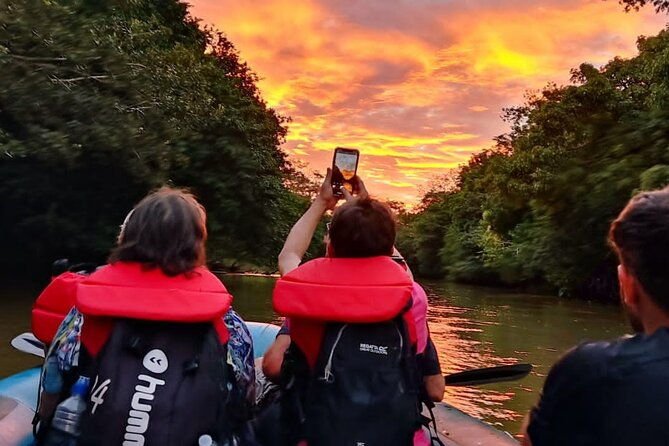 wildlife-safari-boat-tenorio-excellent-bird-watching-tour