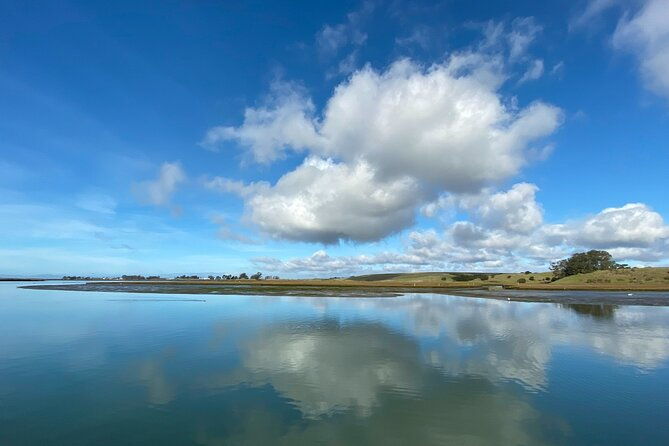 wildlife-safari-boat-tour-in-scenic-monterey-bay-wetland-2
