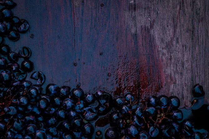 willamette-wine-tour-from-newberg-tasting-fees-included