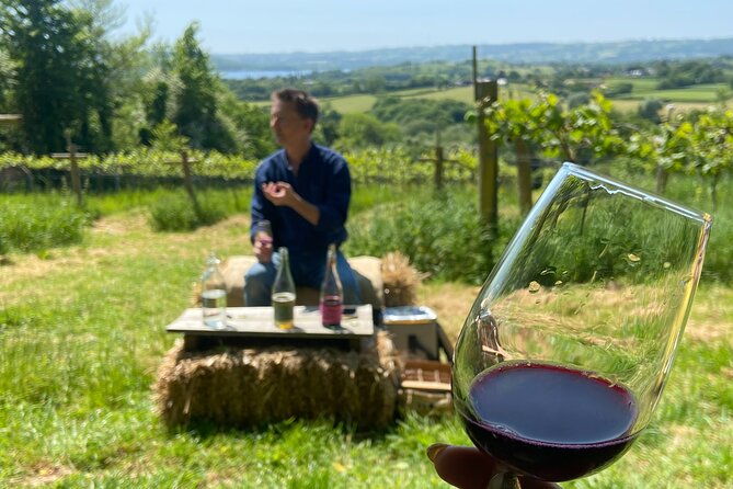 wine-and-cheese-tasting-tour-in-cheddar-valley