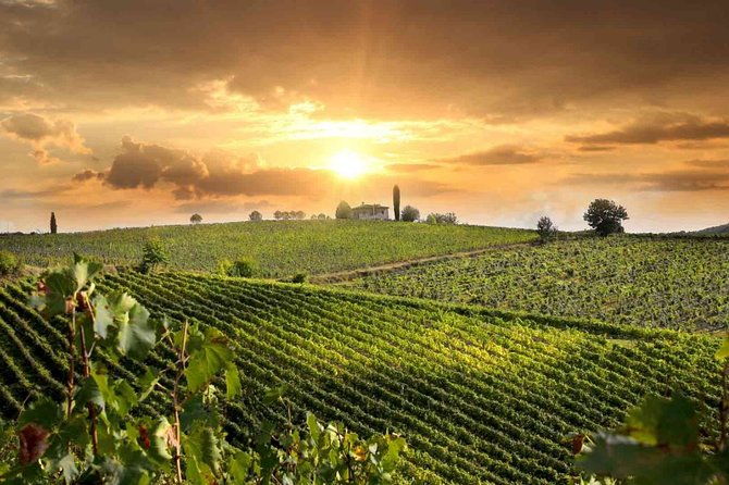 wine-and-cheese-tastings-southern-tuscany-shoreexcursion-from-civitavecchia-port