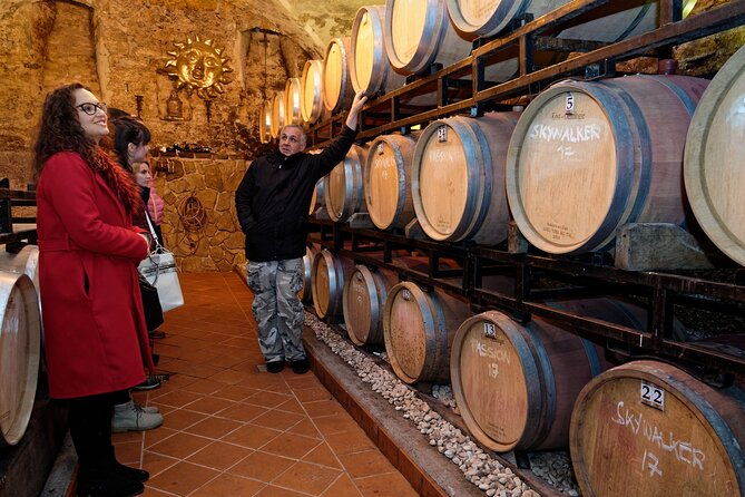 wine-and-culinary-adventure-in-jeruzalem-full-day-tour-from-ljubljana-or-ptuj