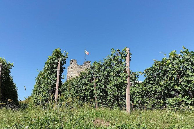 wine-and-food-tasting-private-guided-tour