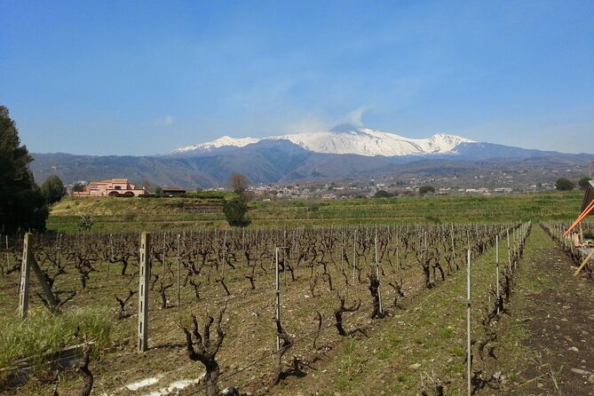 wine-and-lunch-tour
