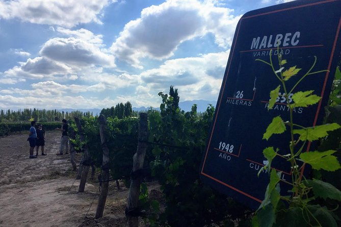 wine-beer-and-spirits-tour-in-small-groups