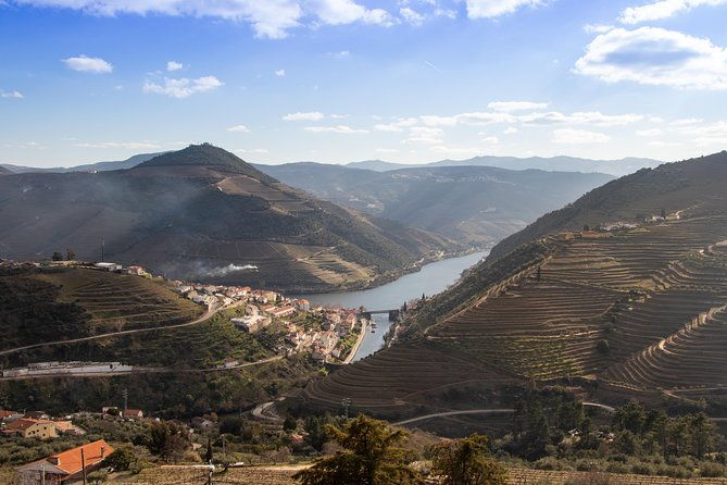 wine-class-portugal-wines-in-a-small-farm-with-a-visit-to-the-winery
