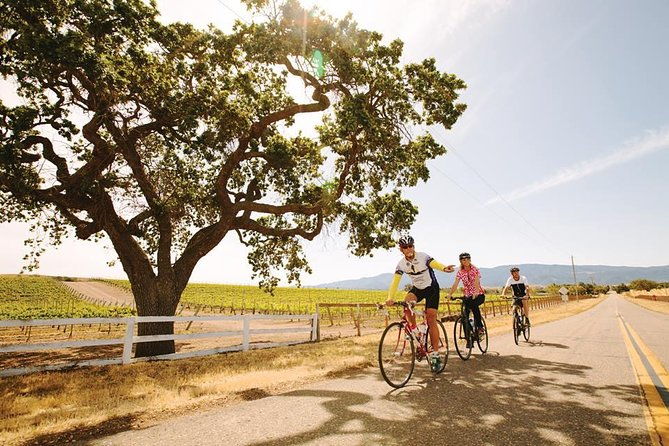 wine-country-farm-to-table-e-bike-tour-w-lunch-2