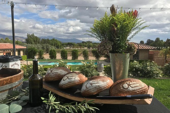 wine-country-farm-to-table-e-bike-tour-w-lunch