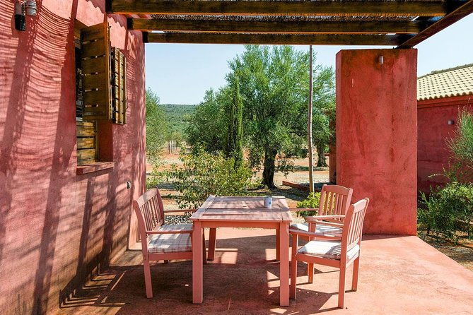 wine-olive-oil-tasting-in-an-organic-farm-in-laconia-greece