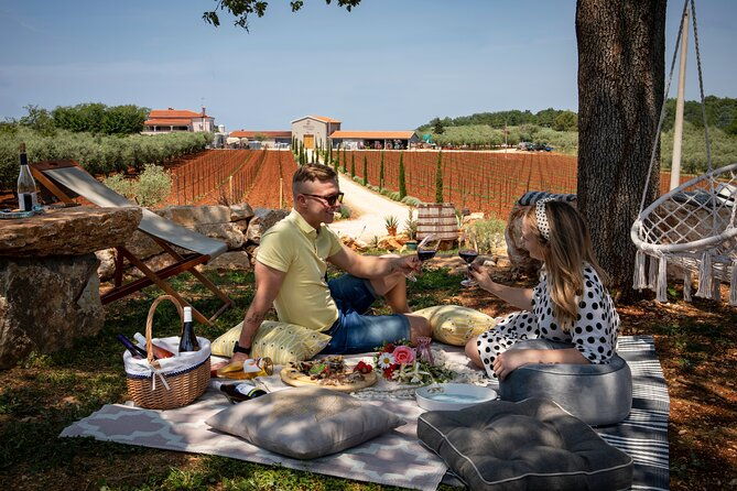 wine-picnic